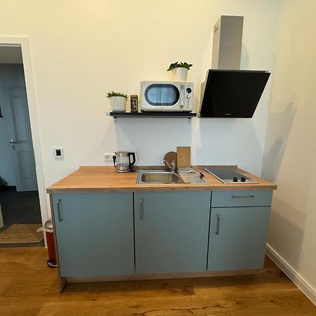 Boutique Hotel Pension Luisengruen Kueche 1Gbs Wlan Netflix Disney Magentatv Кемниц Екстериор снимка