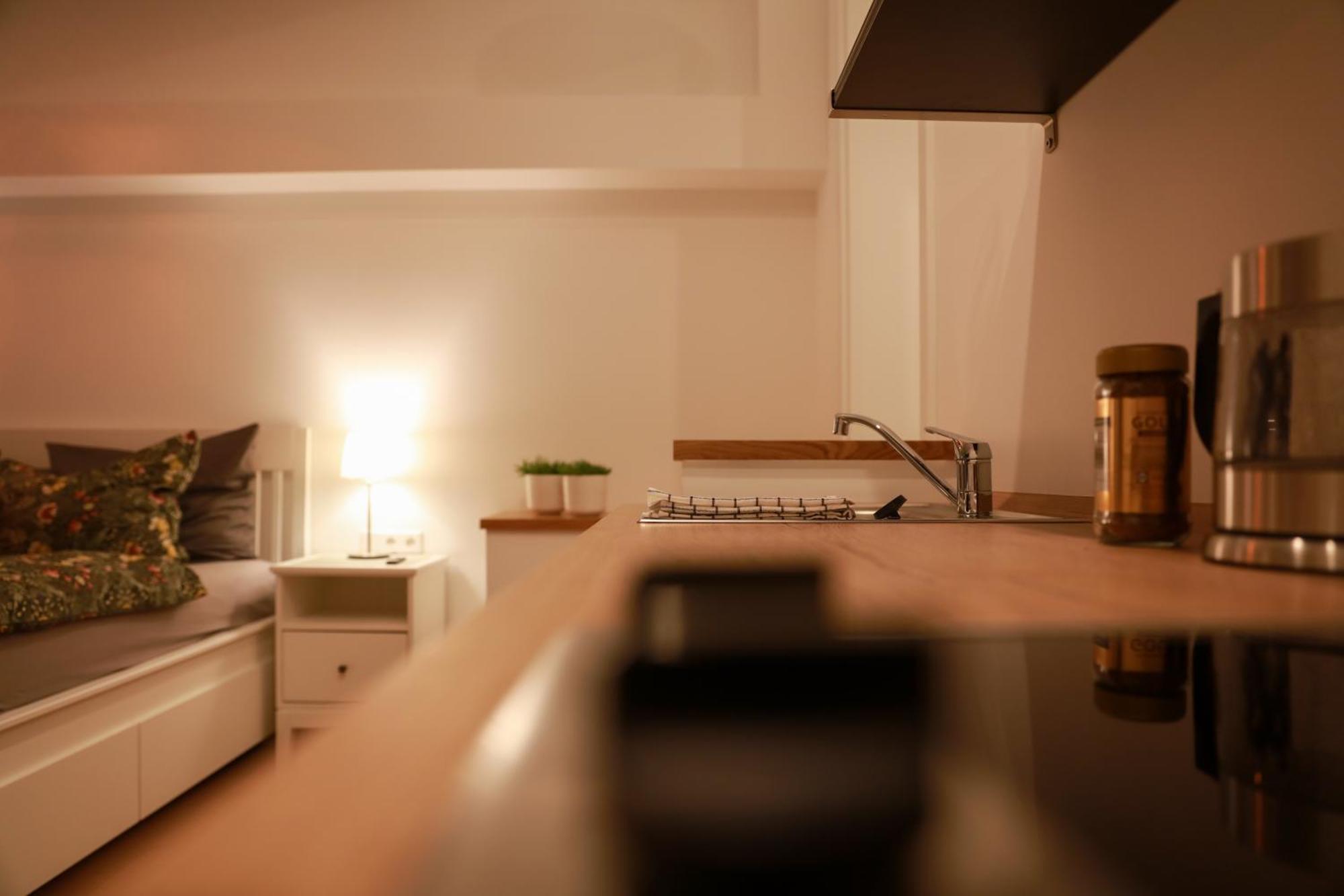 Boutique Hotel Pension Luisengruen Kueche 1Gbs Wlan Netflix Disney Magentatv Кемниц Екстериор снимка