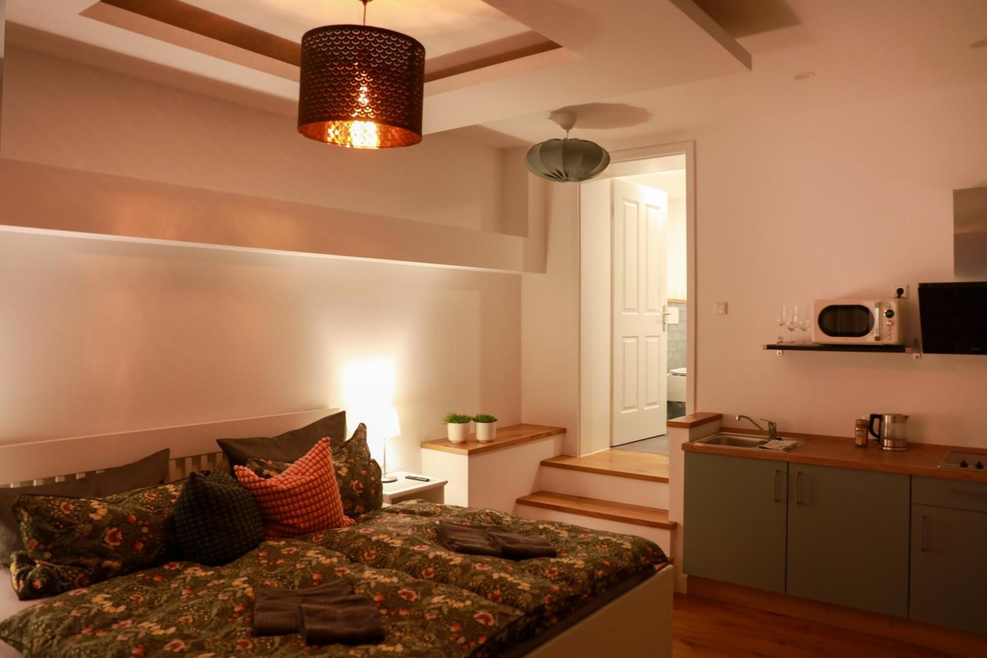 Boutique Hotel Pension Luisengruen Kueche 1Gbs Wlan Netflix Disney Magentatv Кемниц Екстериор снимка